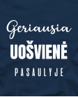 Geriausia uošvienė pasaulyje